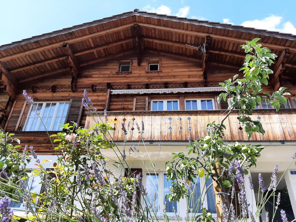 Cozy Chalet By Interlaken. Parking Daire Ringgenberg Dış mekan fotoğraf